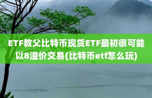 ETF教父比特币现货ETF最初很可能以8溢价交易(比特币etf怎么玩)