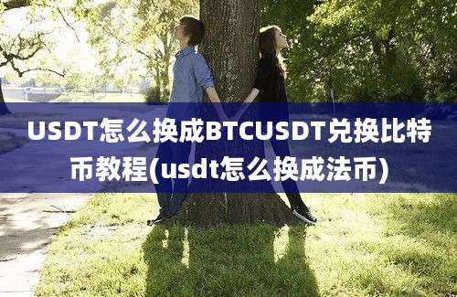 USDT怎么换成BTCUSDT兑换比特币教程(usdt怎么换成法币)