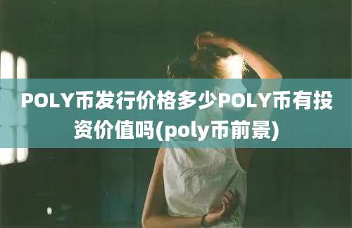 POLY币发行价格多少POLY币有投资价值吗(poly币前景)