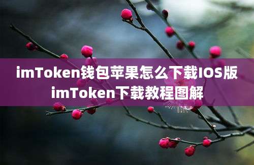 imToken钱包苹果怎么下载IOS版imToken下载教程图解