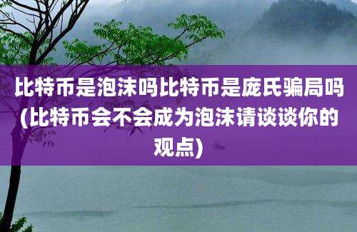 比特币是泡沫吗比特币是庞氏骗局吗(比特币会不会成为泡沫请谈谈你的观点)