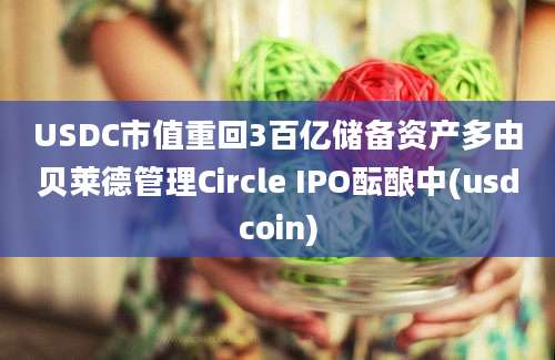 USDC市值重回3百亿储备资产多由贝莱德管理Circle IPO酝酿中(usdcoin)