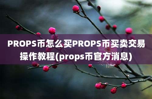 PROPS币怎么买PROPS币买卖交易操作教程(props币官方消息)