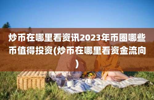 炒币在哪里看资讯2023年币圈哪些币值得投资(炒币在哪里看资金流向)