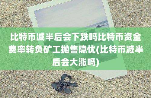 比特币减半后会下跌吗比特币资金费率转负矿工抛售隐忧(比特币减半后会大涨吗)