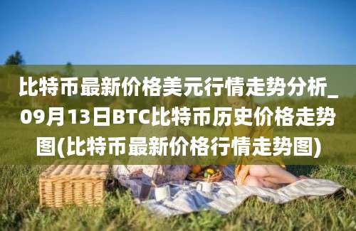 比特币最新价格美元行情走势分析_09月13日BTC比特币历史价格走势图(比特币最新价格行情走势图)