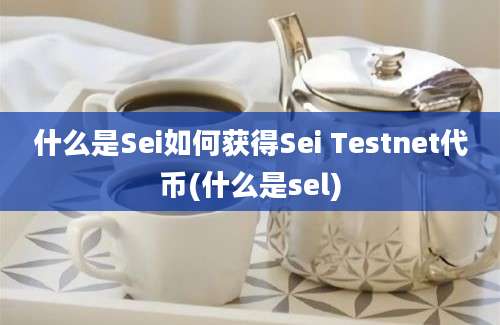 什么是Sei如何获得Sei Testnet代币(什么是sel)