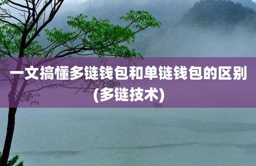 一文搞懂多链钱包和单链钱包的区别(多链技术)