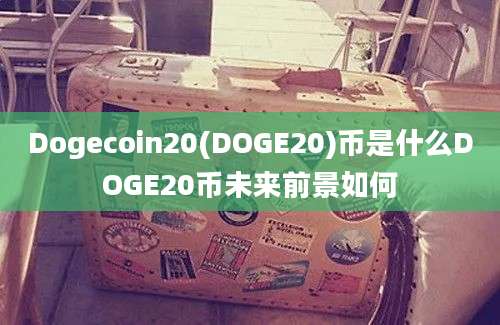 Dogecoin20(DOGE20)币是什么DOGE20币未来前景如何