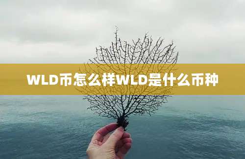 WLD币怎么样WLD是什么币种