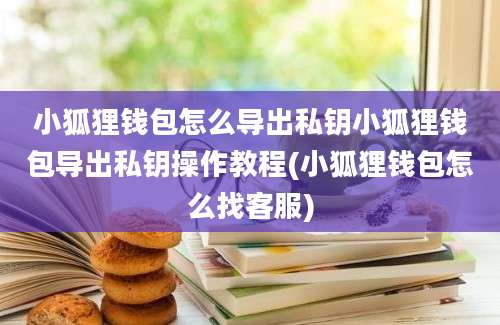 小狐狸钱包怎么导出私钥小狐狸钱包导出私钥操作教程(小狐狸钱包怎么找客服)