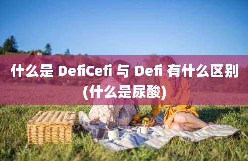 什么是 DefiCefi 与 Defi 有什么区别(什么是尿酸)