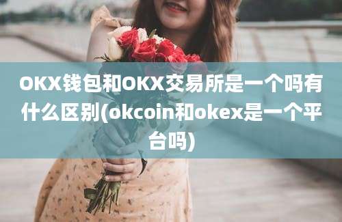 OKX钱包和OKX交易所是一个吗有什么区别(okcoin和okex是一个平台吗)