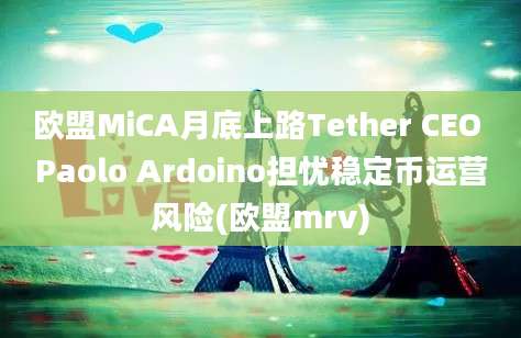 欧盟MiCA月底上路Tether CEO Paolo Ardoino担忧稳定币运营风险(欧盟mrv)