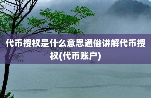 代币授权是什么意思通俗讲解代币授权(代币账户)