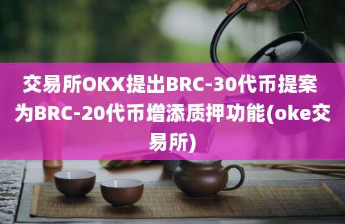 交易所OKX提出BRC-30代币提案 为BRC-20代币增添质押功能(oke交易所)