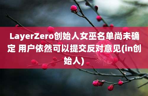 LayerZero创始人女巫名单尚未确定 用户依然可以提交反对意见(in创始人)