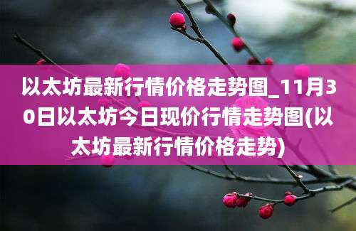 以太坊最新行情价格走势图_11月30日以太坊今日现价行情走势图(以太坊最新行情价格走势)