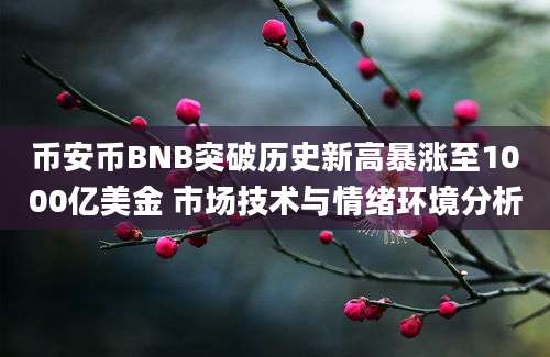 币安币BNB突破历史新高暴涨至1000亿美金 市场技术与情绪环境分析