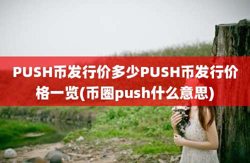 PUSH币发行价多少PUSH币发行价格一览(币圈push什么意思)