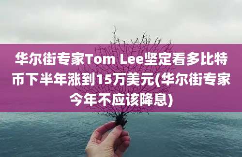 华尔街专家Tom Lee坚定看多比特币下半年涨到15万美元(华尔街专家今年不应该降息)