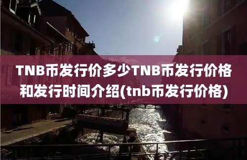 TNB币发行价多少TNB币发行价格和发行时间介绍(tnb币发行价格)