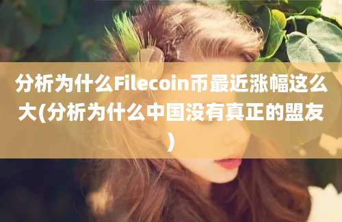 分析为什么Filecoin币最近涨幅这么大(分析为什么中国没有真正的盟友)