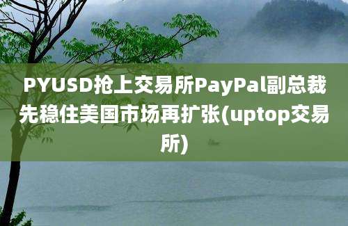 PYUSD抢上交易所PayPal副总裁先稳住美国市场再扩张(uptop交易所)