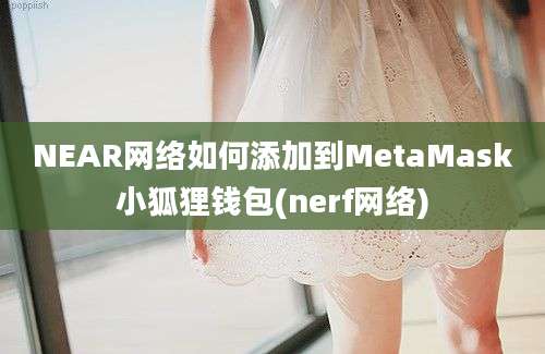 NEAR网络如何添加到MetaMask小狐狸钱包(nerf网络)