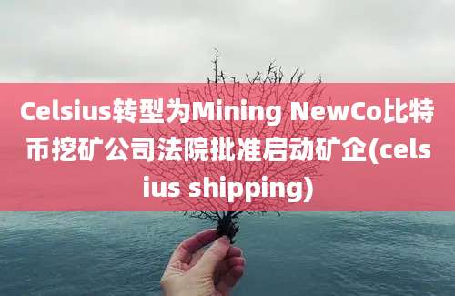 Celsius转型为Mining NewCo比特币挖矿公司法院批准启动矿企(celsius shipping)