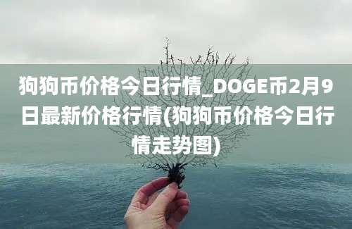 狗狗币价格今日行情_DOGE币2月9日最新价格行情(狗狗币价格今日行情走势图)