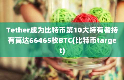 Tether成为比特币第10大持有者持有高达66465枚BTC(比特币target)