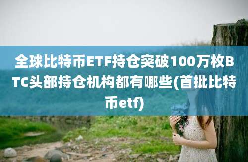 全球比特币ETF持仓突破100万枚BTC头部持仓机构都有哪些(首批比特币etf)