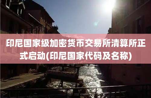 印尼国家级加密货币交易所清算所正式启动(印尼国家代码及名称)