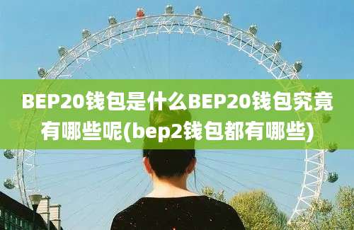 BEP20钱包是什么BEP20钱包究竟有哪些呢(bep2钱包都有哪些)