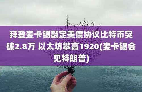 拜登麦卡锡敲定美债协议比特币突破2.8万 以太坊攀高1920(麦卡锡会见特朗普)