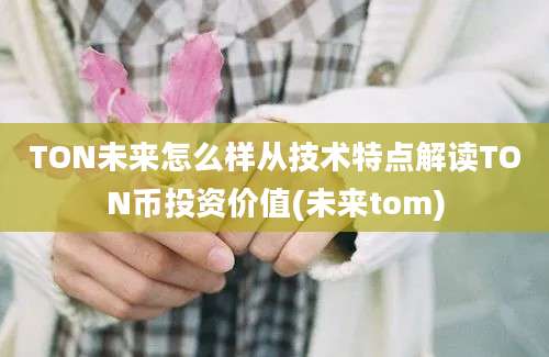 TON未来怎么样从技术特点解读TON币投资价值(未来tom)