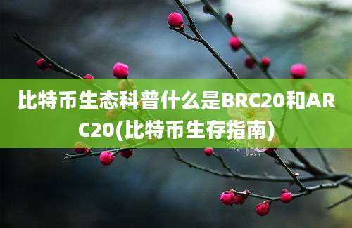 比特币生态科普什么是BRC20和ARC20(比特币生存指南)