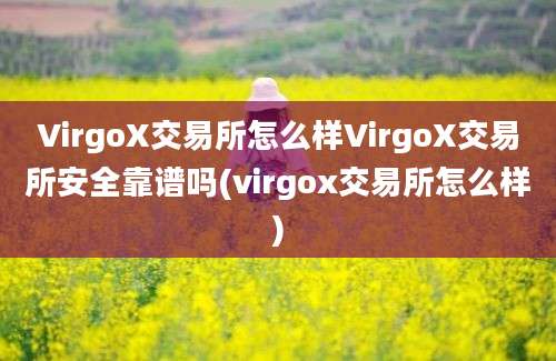 VirgoX交易所怎么样VirgoX交易所安全靠谱吗(virgox交易所怎么样)