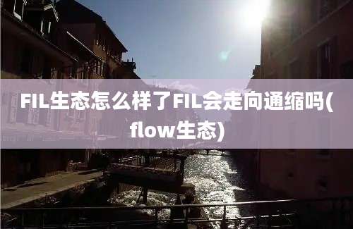 FIL生态怎么样了FIL会走向通缩吗(flow生态)