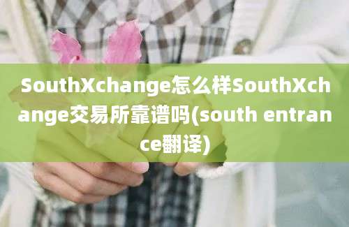 SouthXchange怎么样SouthXchange交易所靠谱吗(south entrance翻译)