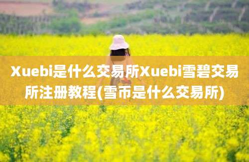 Xuebi是什么交易所Xuebi雪碧交易所注册教程(雪币是什么交易所)