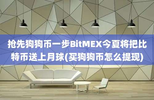 抢先狗狗币一步BitMEX今夏将把比特币送上月球(买狗狗币怎么提现)