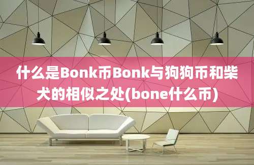 什么是Bonk币Bonk与狗狗币和柴犬的相似之处(bone什么币)