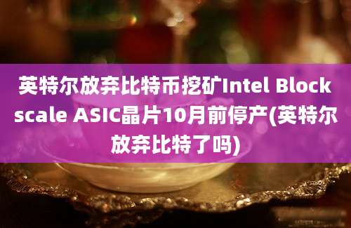 英特尔放弃比特币挖矿Intel Blockscale ASIC晶片10月前停产(英特尔放弃比特了吗)