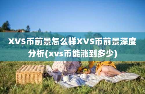 XVS币前景怎么样XVS币前景深度分析(xvs币能涨到多少)