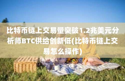 比特币链上交易量突破1.2兆美元分析师BTC供给创新低(比特币链上交易怎么操作)