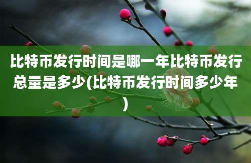 比特币发行时间是哪一年比特币发行总量是多少(比特币发行时间多少年)