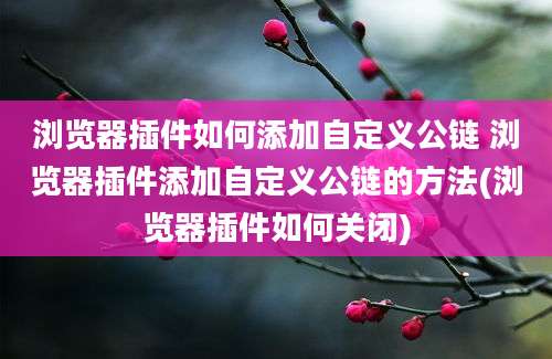 浏览器插件如何添加自定义公链 浏览器插件添加自定义公链的方法(浏览器插件如何关闭)