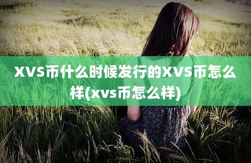 XVS币什么时候发行的XVS币怎么样(xvs币怎么样)